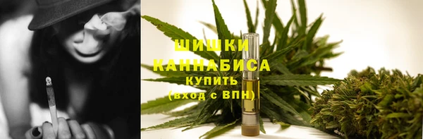 PSILOCYBIN Корсаков