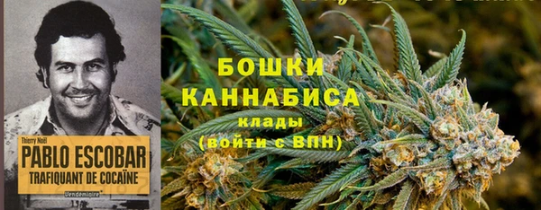 прущая мука Козловка