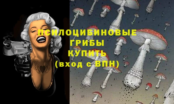 PSILOCYBIN Корсаков